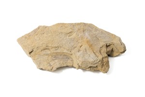 Image description is not available for 1983.12.1